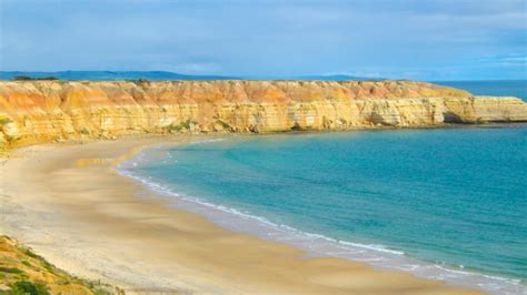 nude beach adelaide|Maslin Beach is an official nude beach just one hour from Adelaide